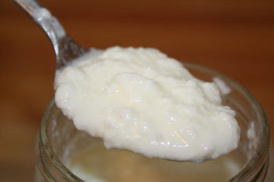 Homemade Yogurt | myhumblekitchen.com