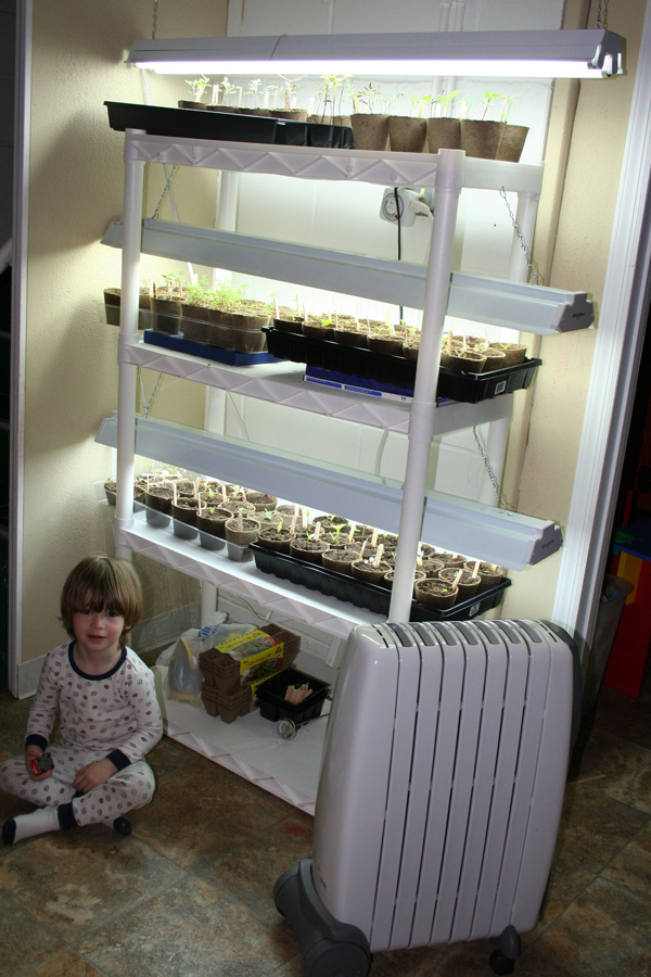 Starting Seeds Indoors | myhumblekitchen.com