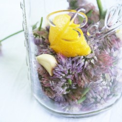 chive_blossom_vinegar