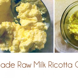 homemade raw milk ricotta cheese