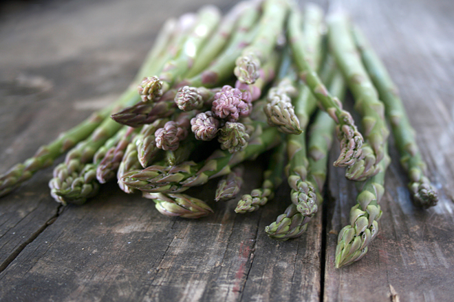 Asparagus Soup