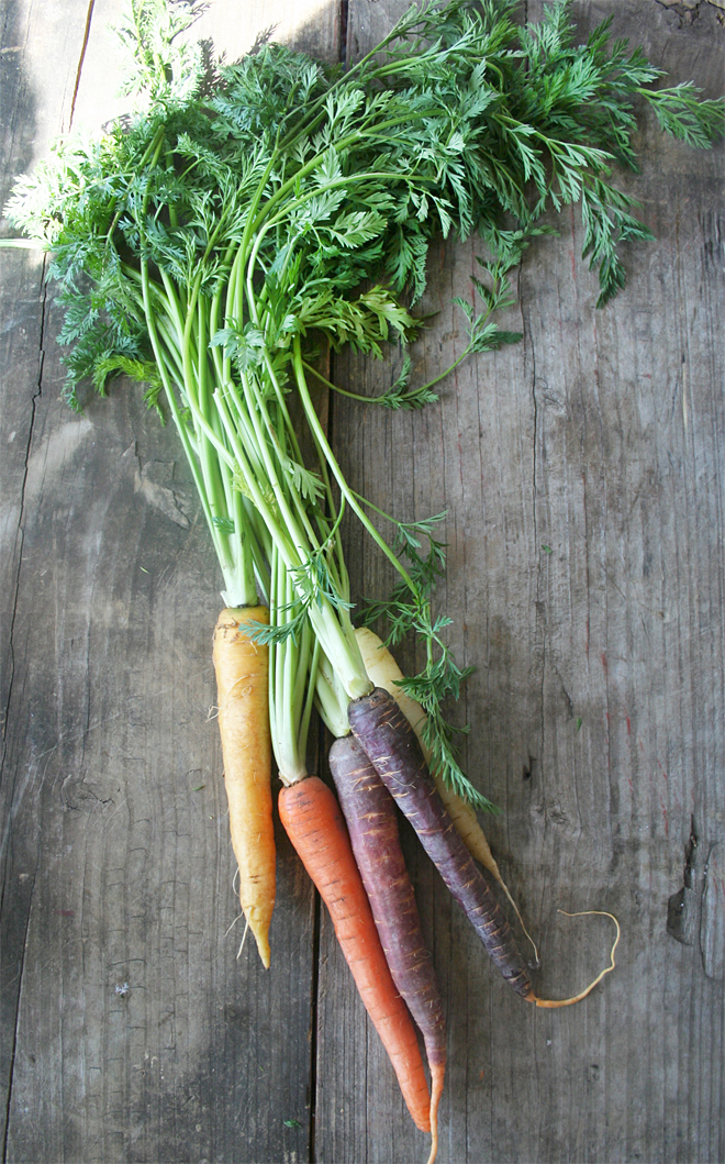 carrots