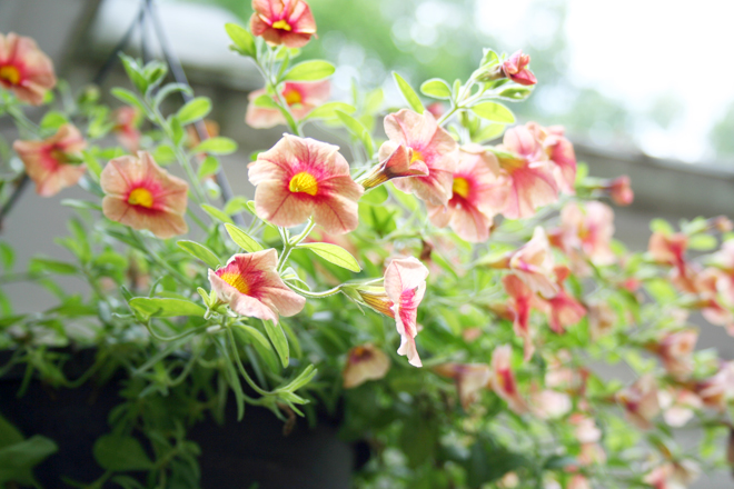 Dying to Live - Surrendering to God