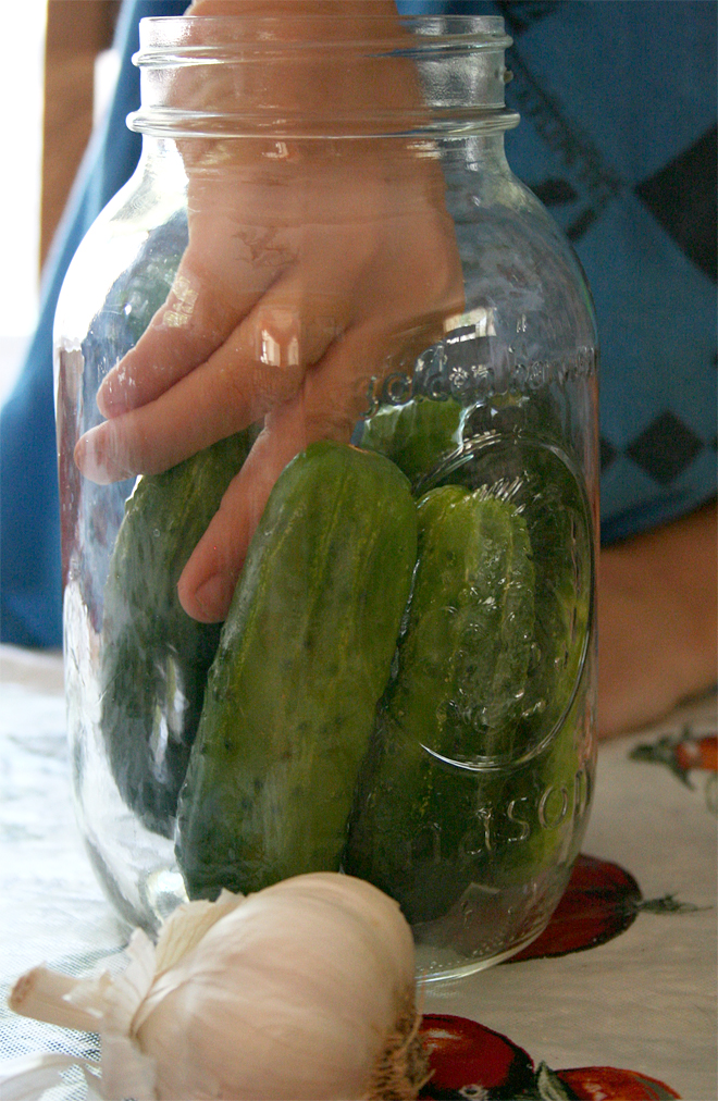 Pickle Jar Kitchen Pickle Recipe Pickle Jar Kitchen Pickle Recipe
