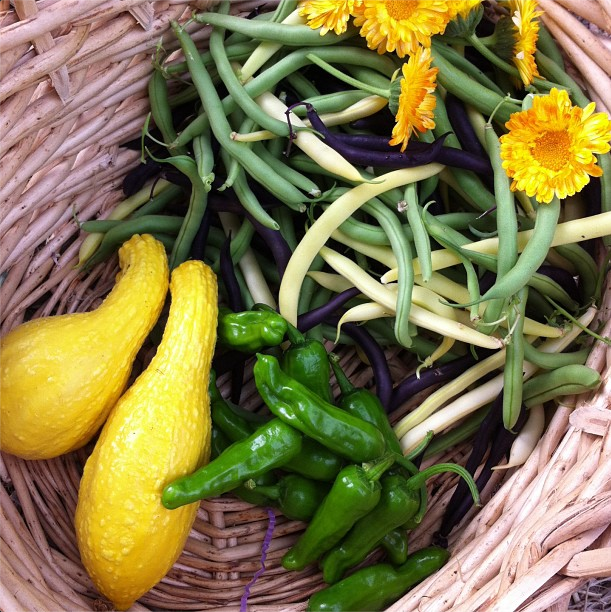 The Harvest Season Has Begun | myhumblekitchen.com