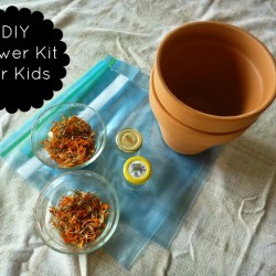 Simple Lives Thursday #175 | myhumblekitchen.com