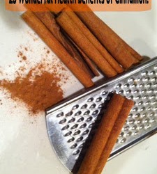 Simple Lives Thursday #175 | myhumblekitchen.com