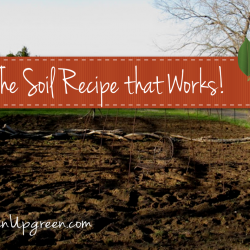 Simple Lives Thursday, #187 | myhumblekitchen.com