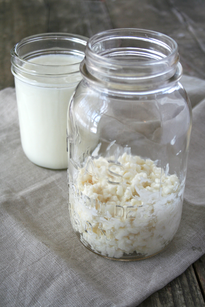 How To Make Milk Kefir - A Probiotic Yogurt-Type Drink - My Humble Kitchen