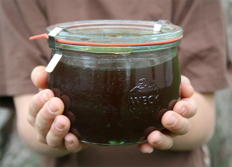 Sugarin' In The City - Making Maple Syrup at Home | myhumblekitchen.com