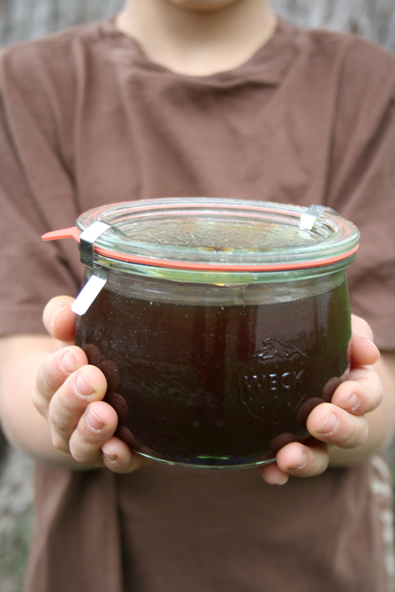 sugarin in the city making maple syrup at home my sugarin in the city making maple syrup at home my