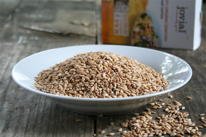 Simple, 100 Whole Wheat Einkorn Bread My Humble Kitchen