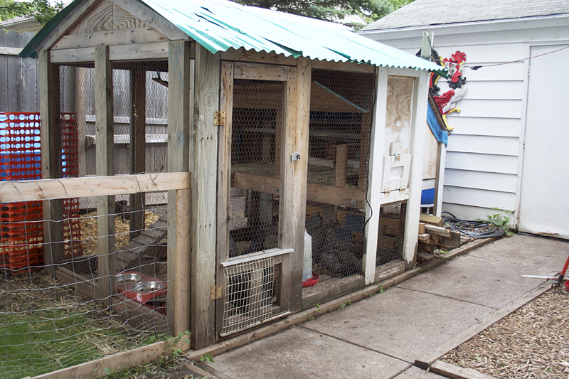 Budget Friendly Strategies To Creating an Urban Homestead of Your 